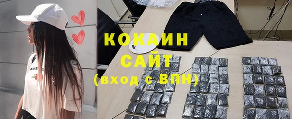 mdpv Богородицк