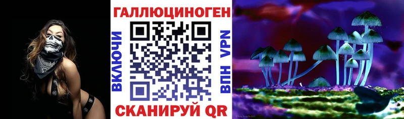 Псилоцибиновые грибы GOLDEN TEACHER  Купить где  Дмитриев 