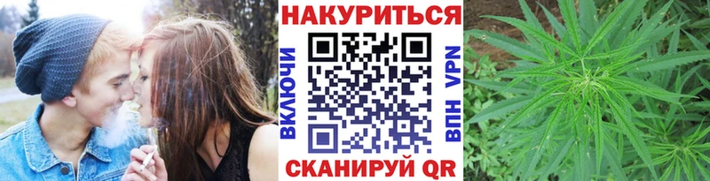 Бошки Шишки MAZAR  Купить закладки  Дмитриев 